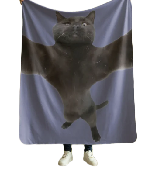 void cat lover cat hugging blanket