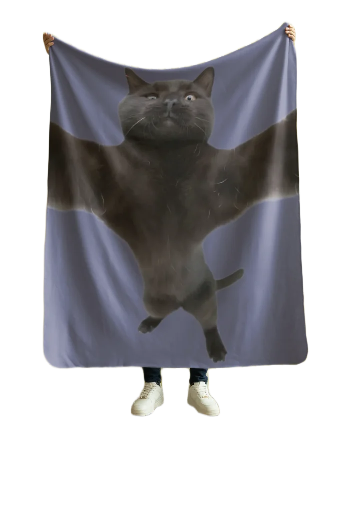 void cat lover cat hugging blanket